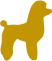 poodle